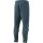 TERREX Mens Zupahike Pants legacy blue