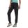 Terrex Women Liteflex Pants black