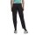 Terrex Women Liteflex Pants black